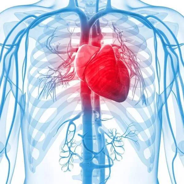 Comprehensive Cardiovascular Pharmacology - Part 1