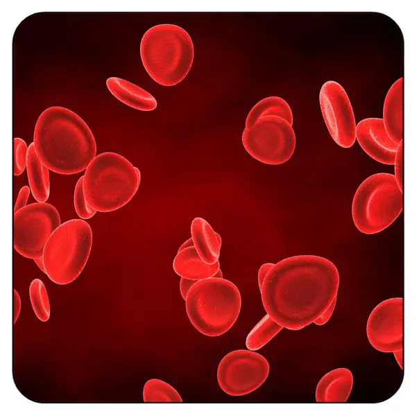 Hematologic Complications in the Acute and Critically Ill