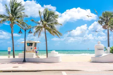 4 - shutterstock_2346260427