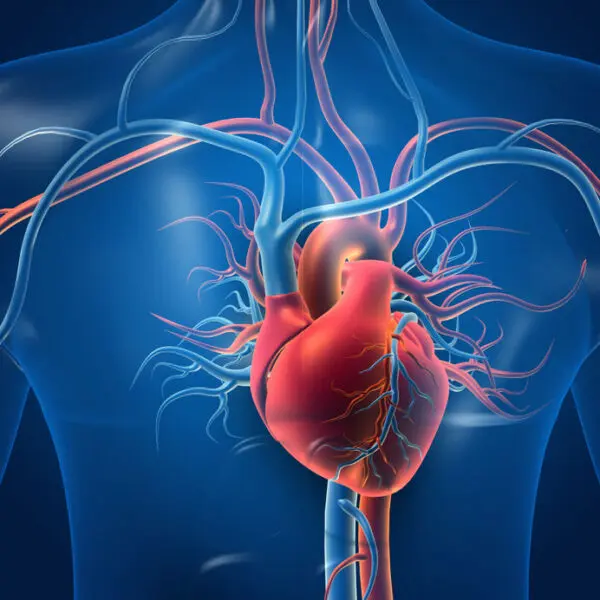 Hot Topics in Cardiology