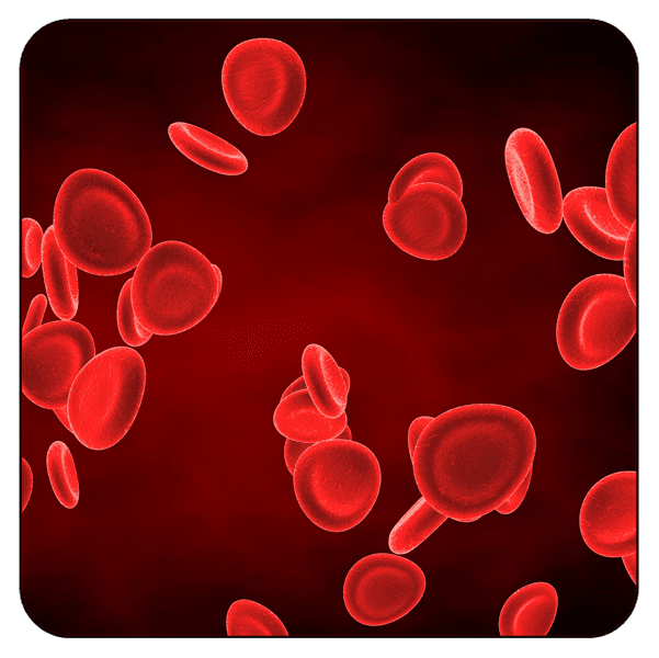 CCRN-Pediatric Testfagen