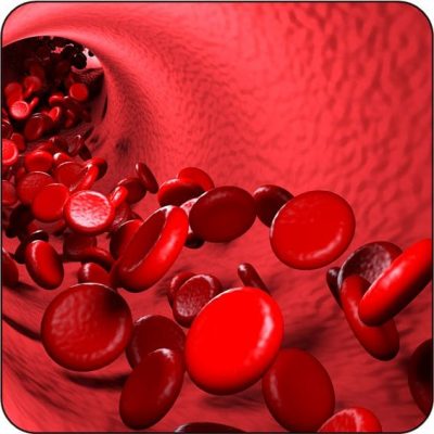Hematology.DDX_-2