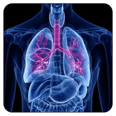 Pulmonary.DDX